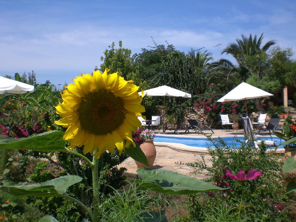 Agroturismo Na Set Centes - Adults Only Artá Dış mekan fotoğraf