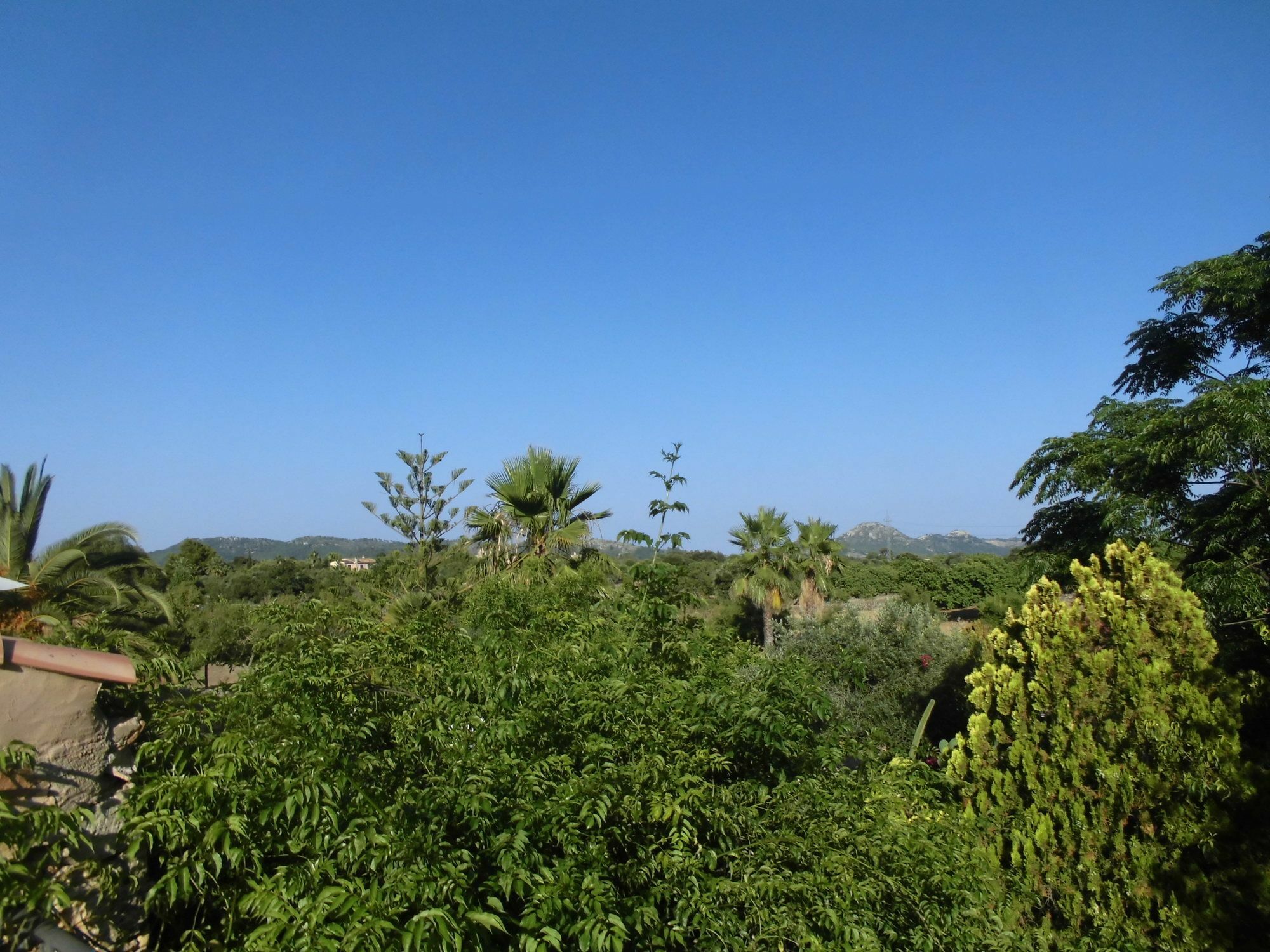 Agroturismo Na Set Centes - Adults Only Artá Dış mekan fotoğraf